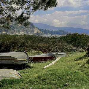 Afiche - El chico y el lago (1)