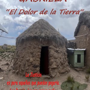 Afiche - Gabriela opti