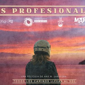 Afiche - Los Profesionales