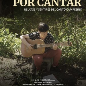 Afiche