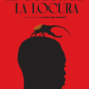 Poster-El color de la locura_